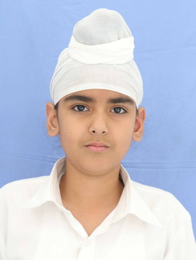 JAIVEER SINGH  