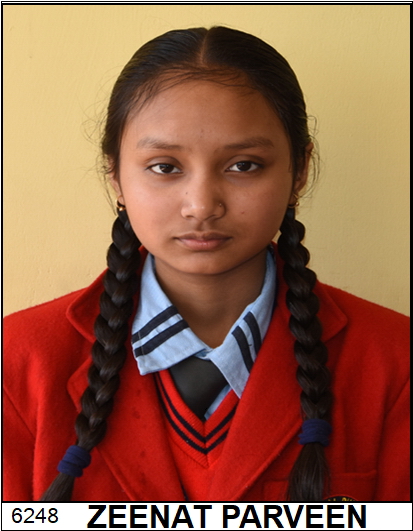 ZEENAT PARVEEN  