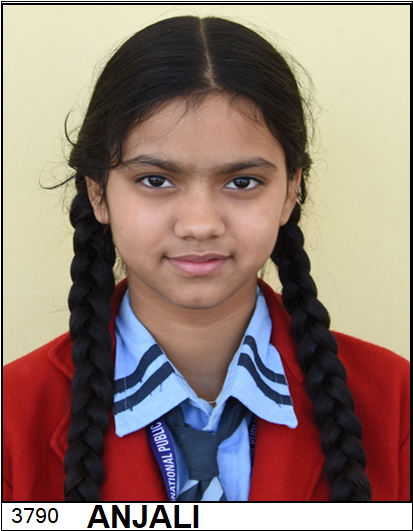 ANJALI  