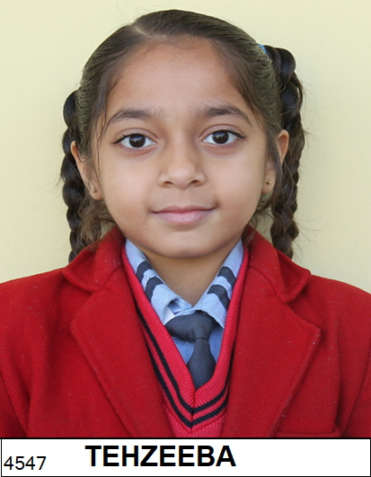 TEHZEEBA  