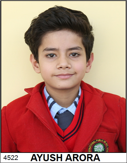 AYUSH ARORA  
